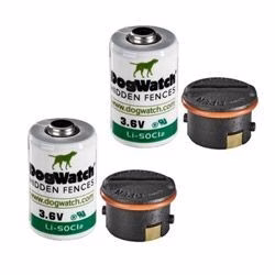 3.6 Volt Lithium Batteries and Caps - Pack of 2